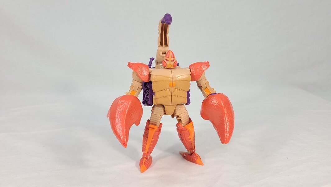 TF Collector Legacy Sandstorm Review  (4 of 10)